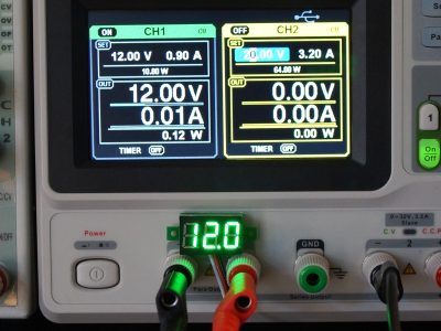 DVM 0-100V Green Accuracy