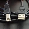 USB to Type B Cable - Connectors