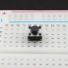 Tactile Pushbutton Square 6mm - 10mm Leads - In Breadboard