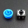 Tactile Pushbutton Blue 12mm - Disassembled