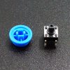 Tactile Pushbutton Blue 6mm - Disassembled