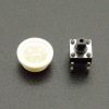 Tactile Pushbutton White 6mm - Disassembled